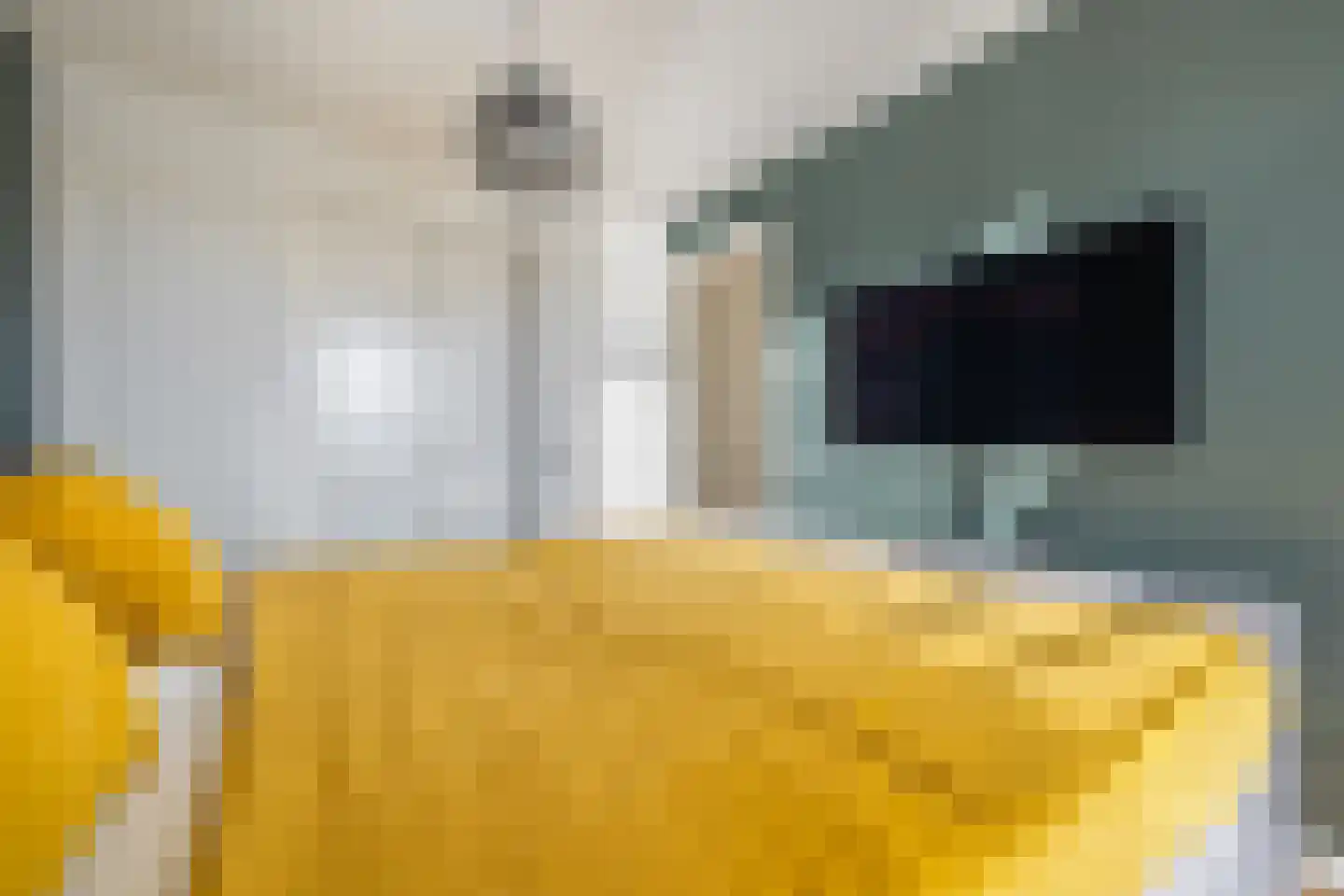 Lange Weide 43 Breda thumbnail 33