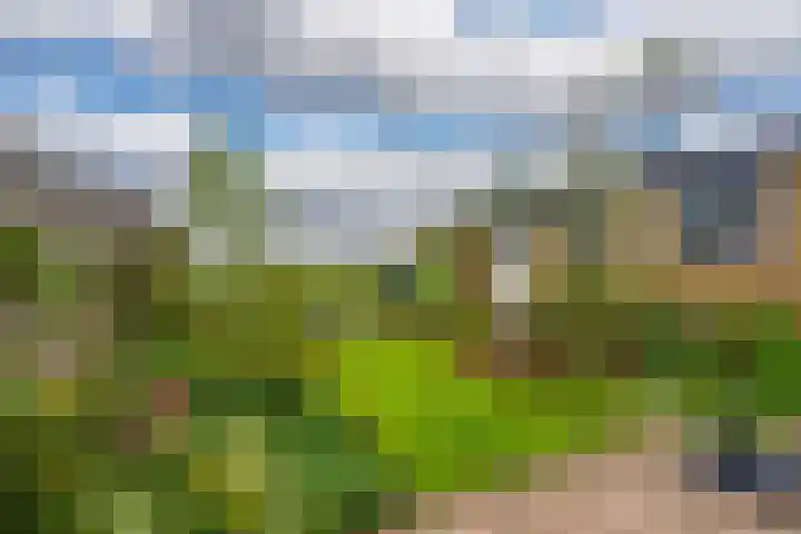 Lange Weide 57 Oudendijk thumbnail 21