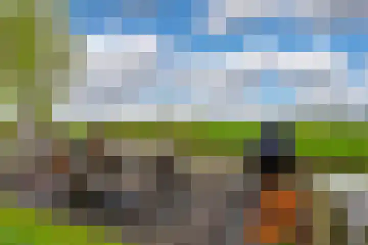 Lange Weide 57 Oudendijk thumbnail 22