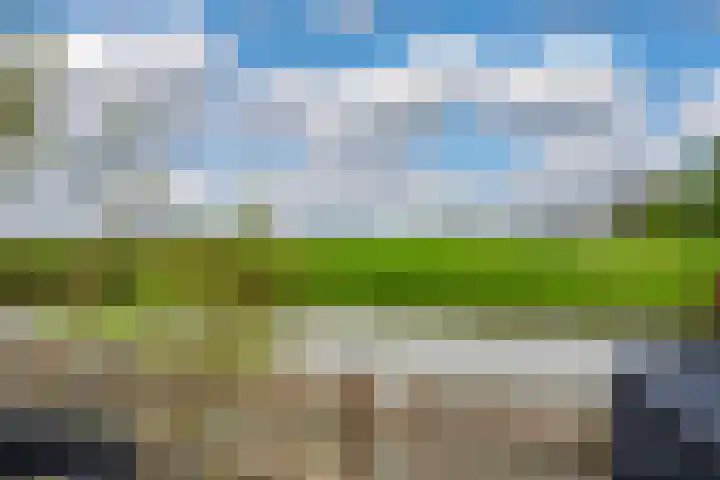 Lange Weide 57 Oudendijk thumbnail 23