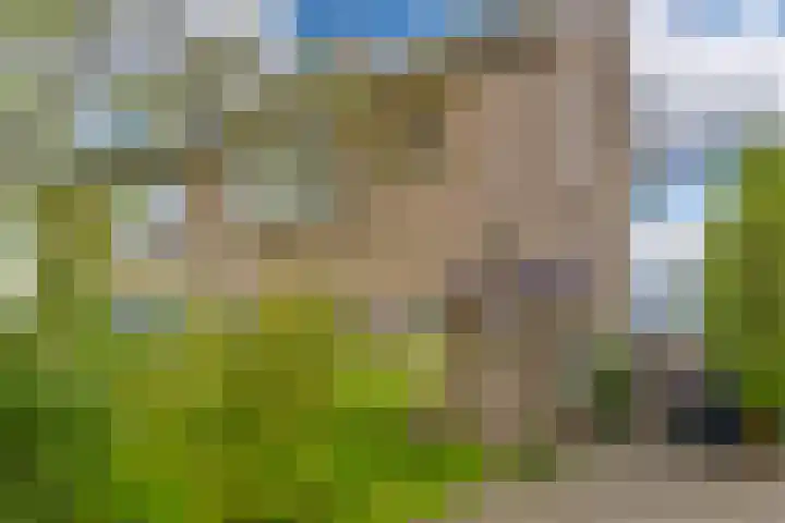Lange Weide 57 Oudendijk thumbnail 4