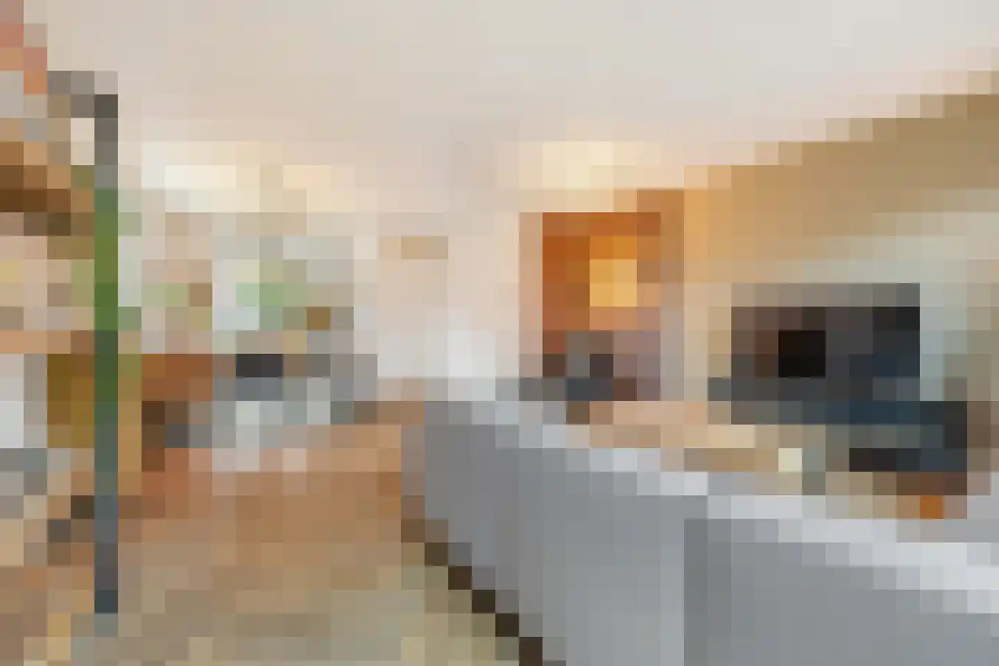 Lange Weide 72 Breda thumbnail 15