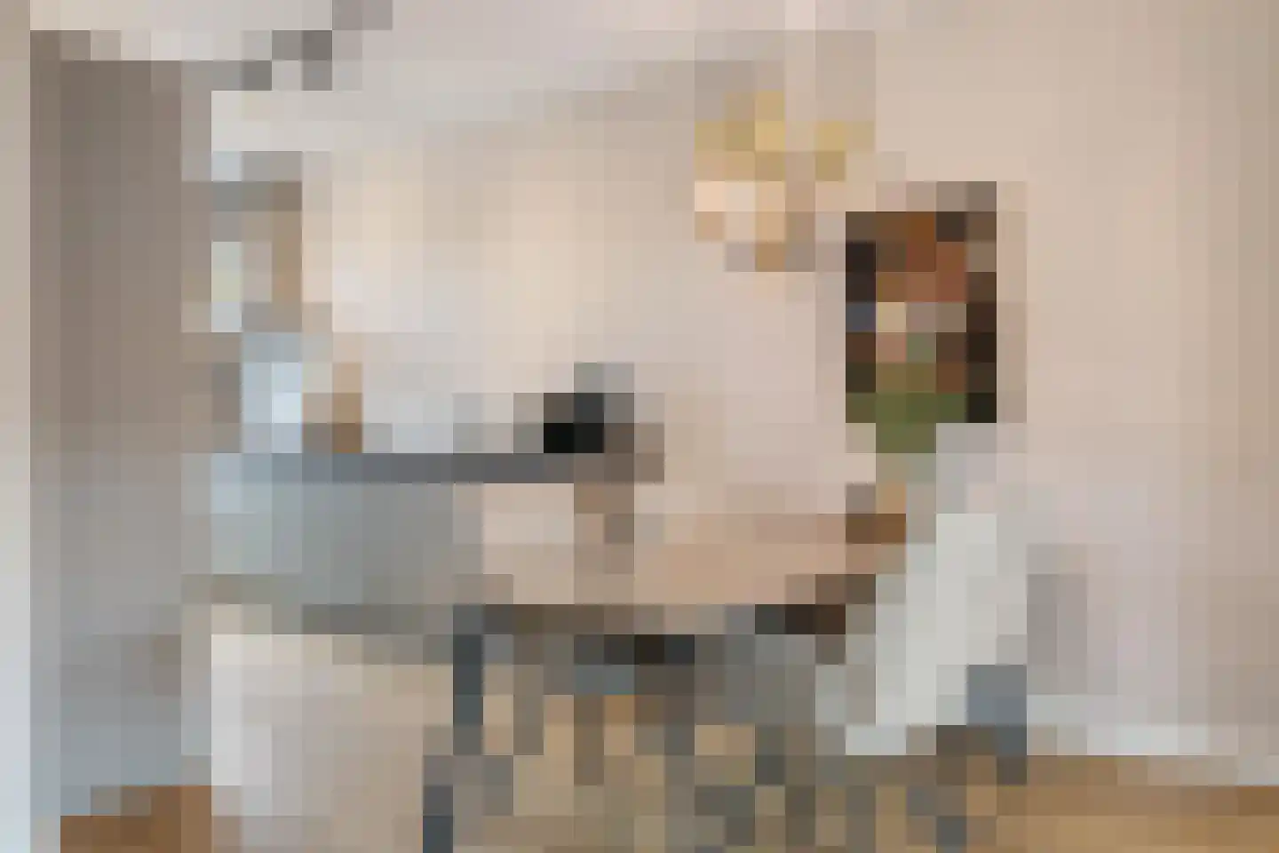 Lange Weide 89 Breda thumbnail 15