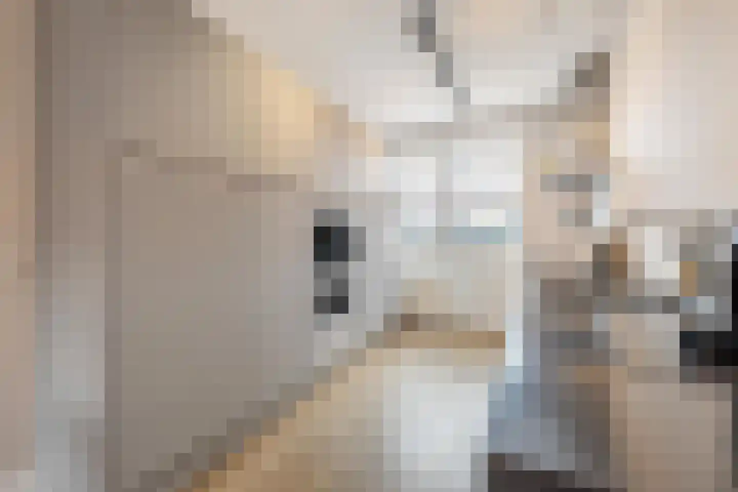 Lange Weide 89 Breda thumbnail 16