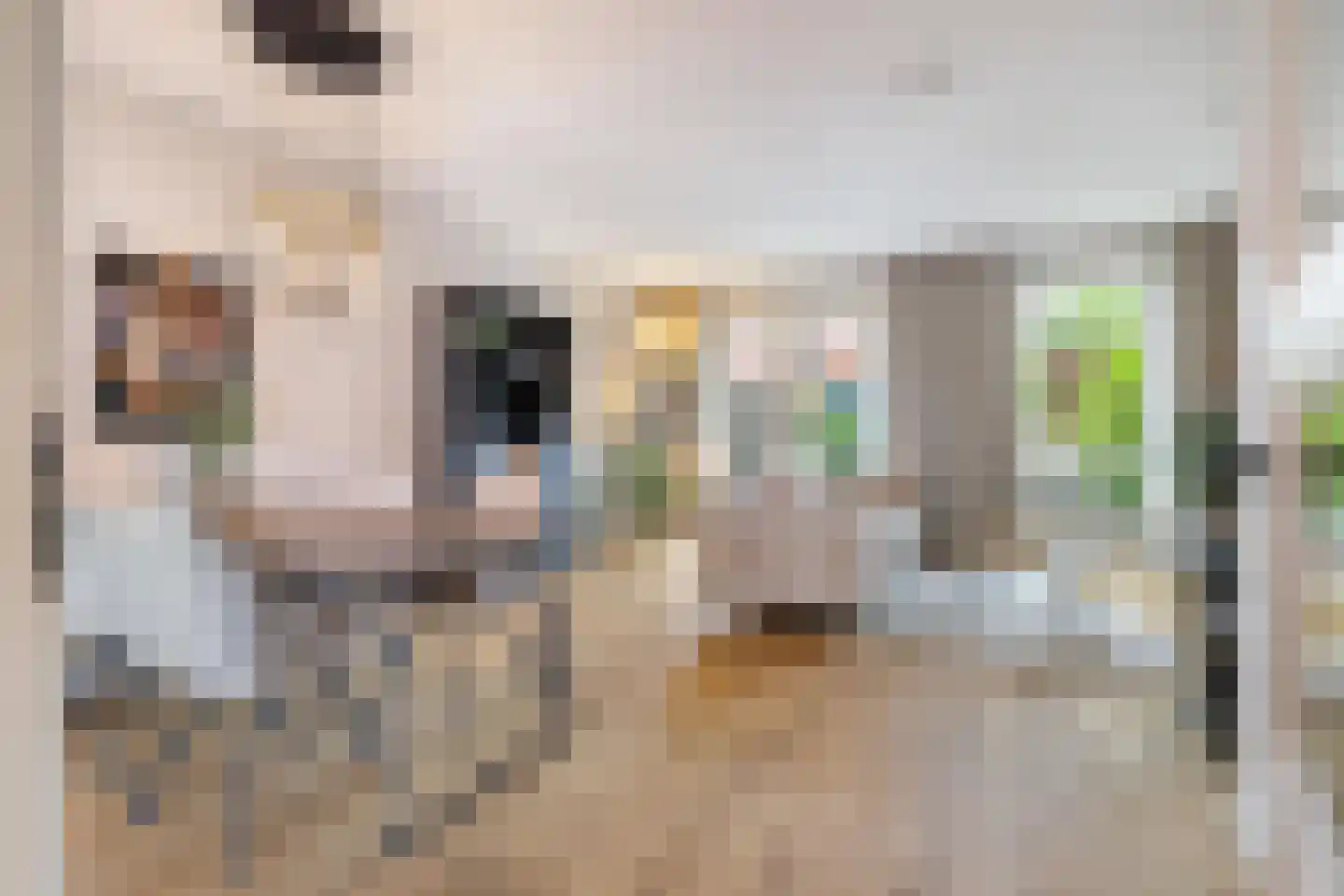 Lange Weide 89 Breda thumbnail 9