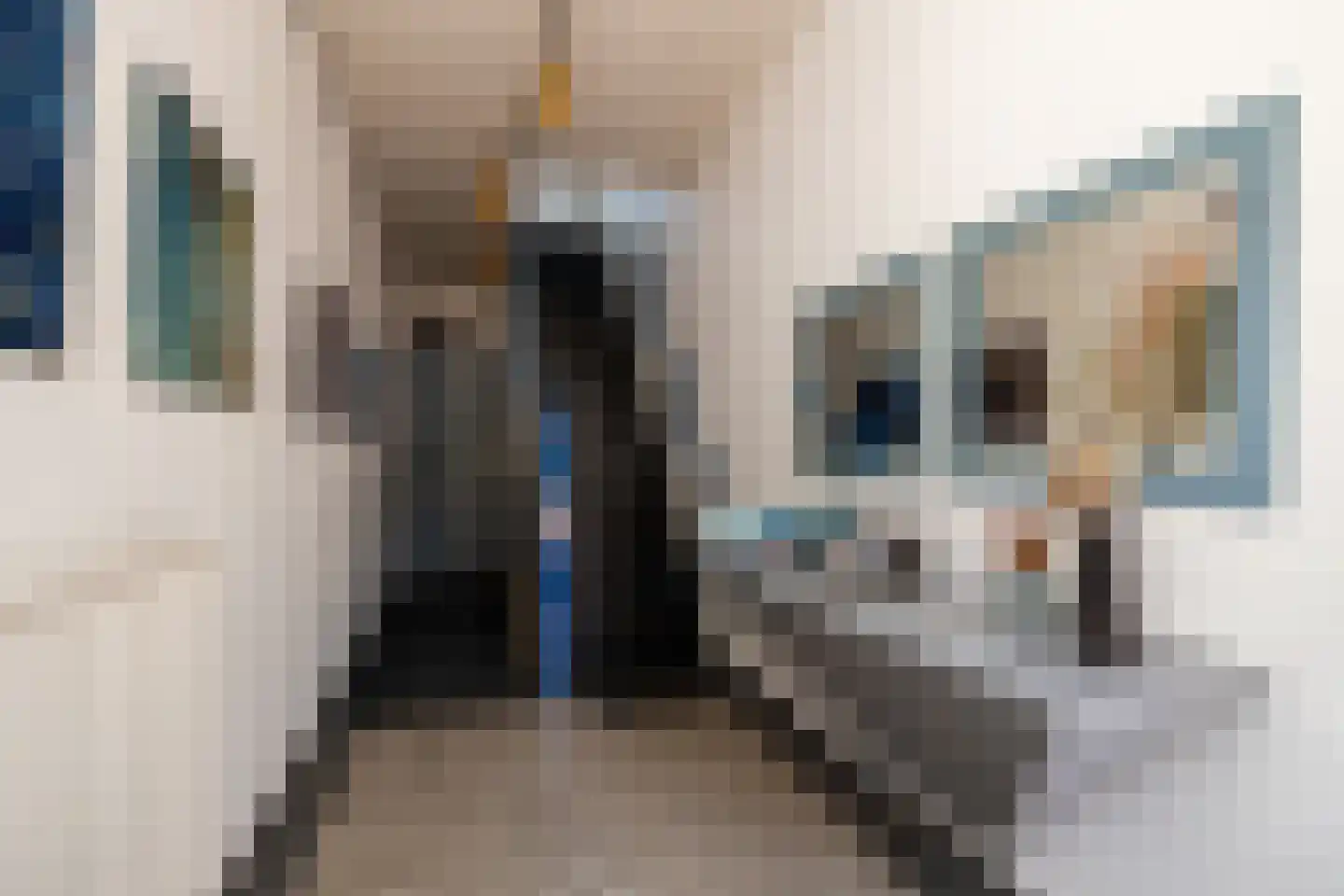 Lange Weistraat 3 Schoonhoven thumbnail 10