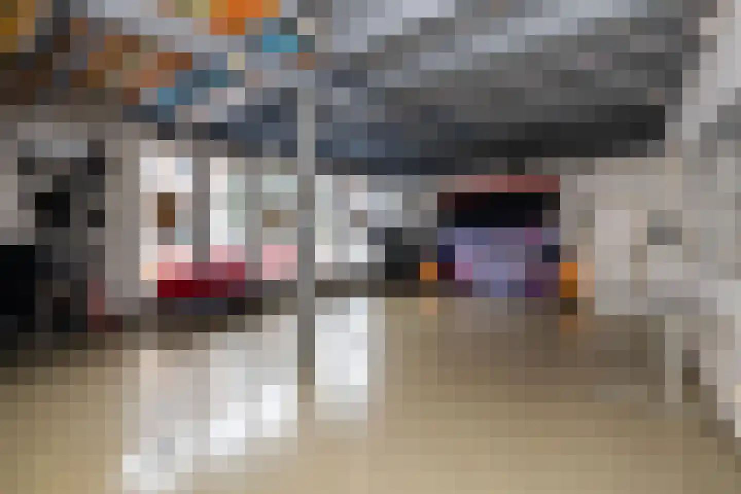 Lange Weistraat 3 Schoonhoven thumbnail 11