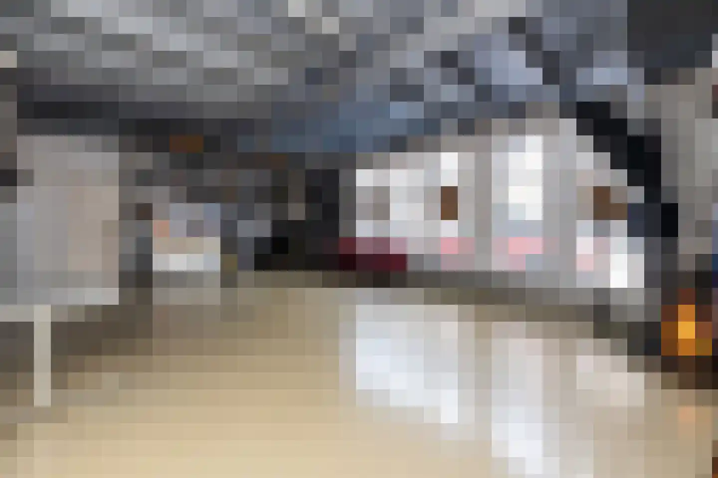 Lange Weistraat 3 Schoonhoven thumbnail 14