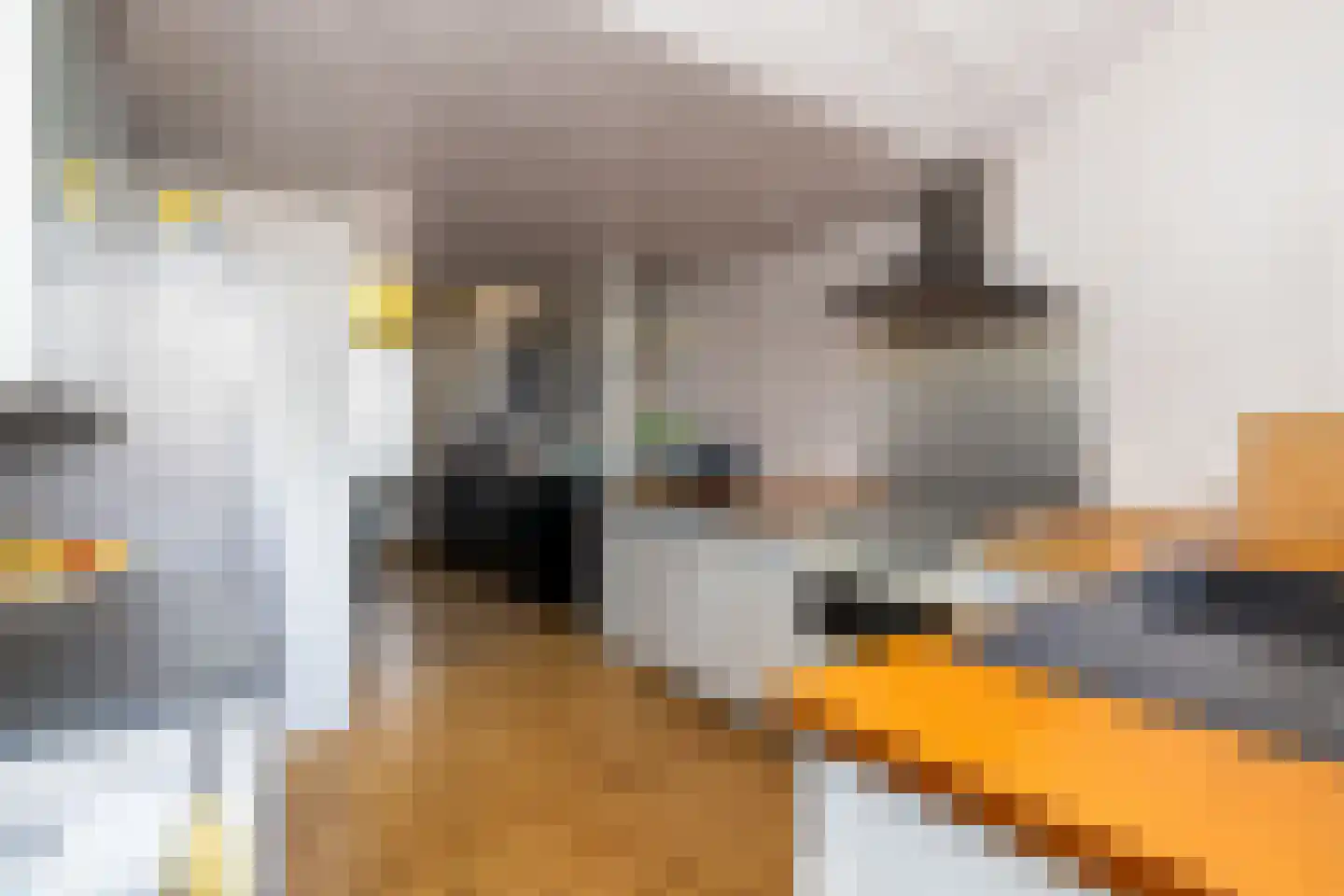 Lange Weistraat 3 Schoonhoven thumbnail 31