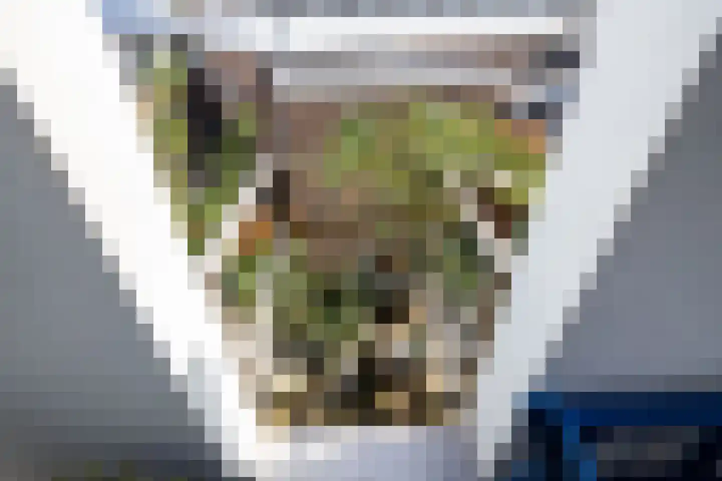 Lange Weistraat 3 Schoonhoven thumbnail 34