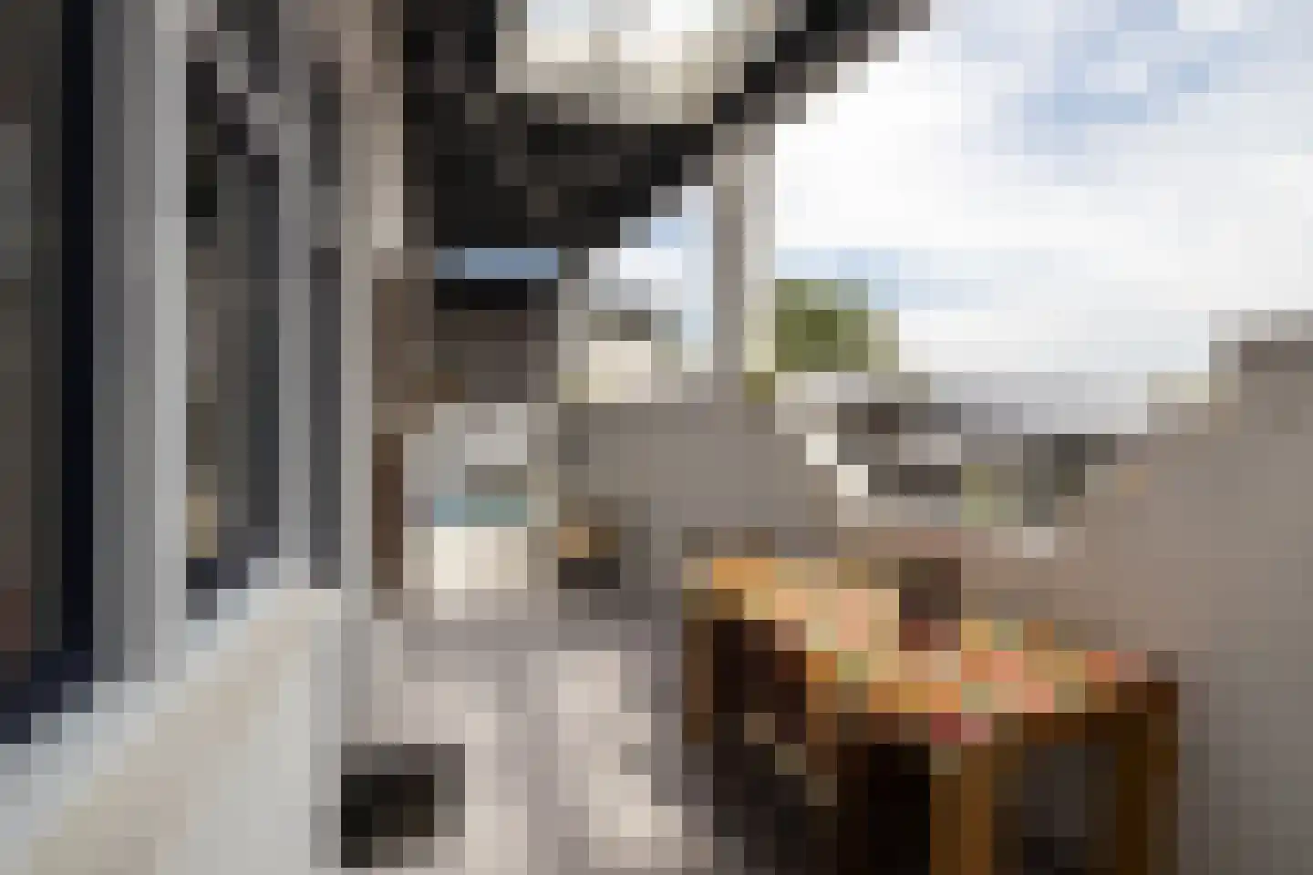 Lange Weistraat 3 Schoonhoven thumbnail 59