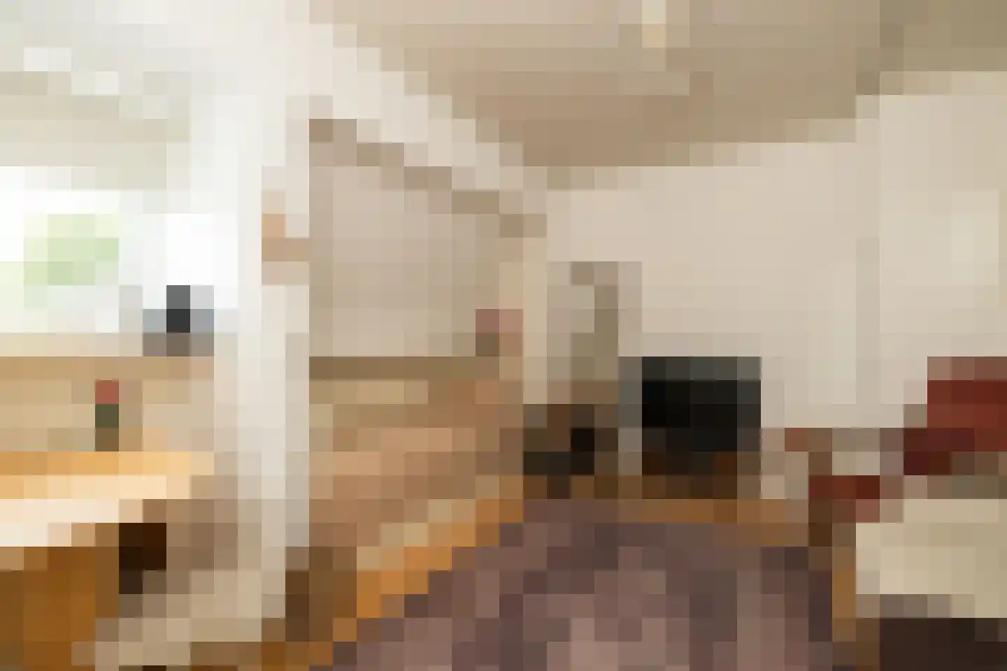 Lange Weistraat 3 Schoonhoven thumbnail 64