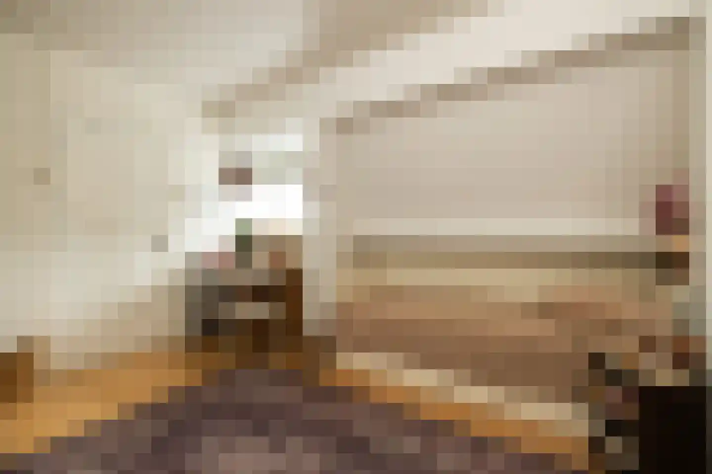 Lange Weistraat 3 Schoonhoven thumbnail 65