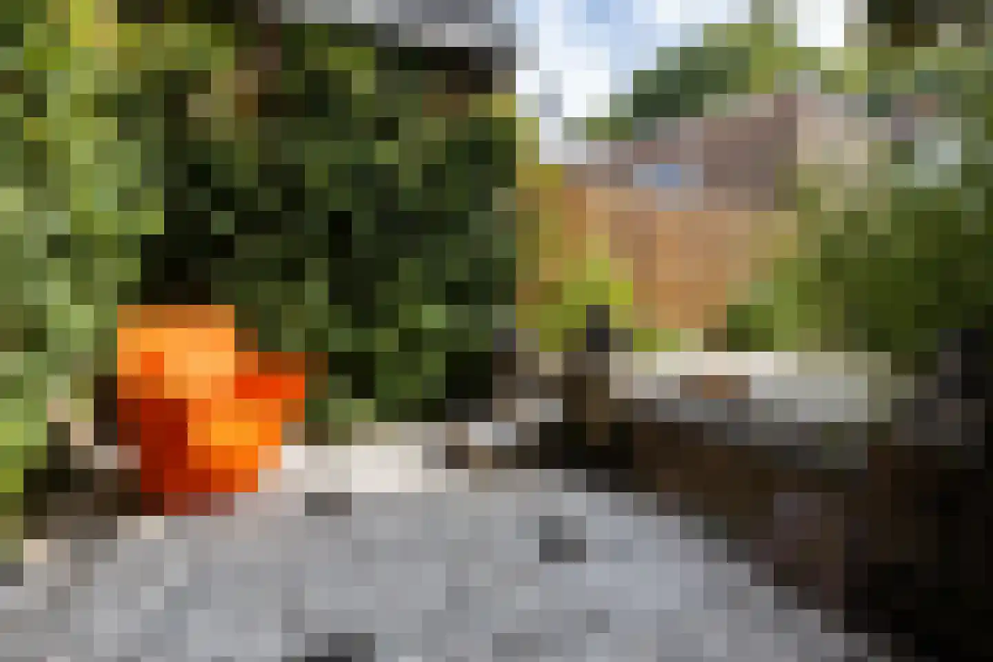 Lange Weistraat 3 Schoonhoven thumbnail 77
