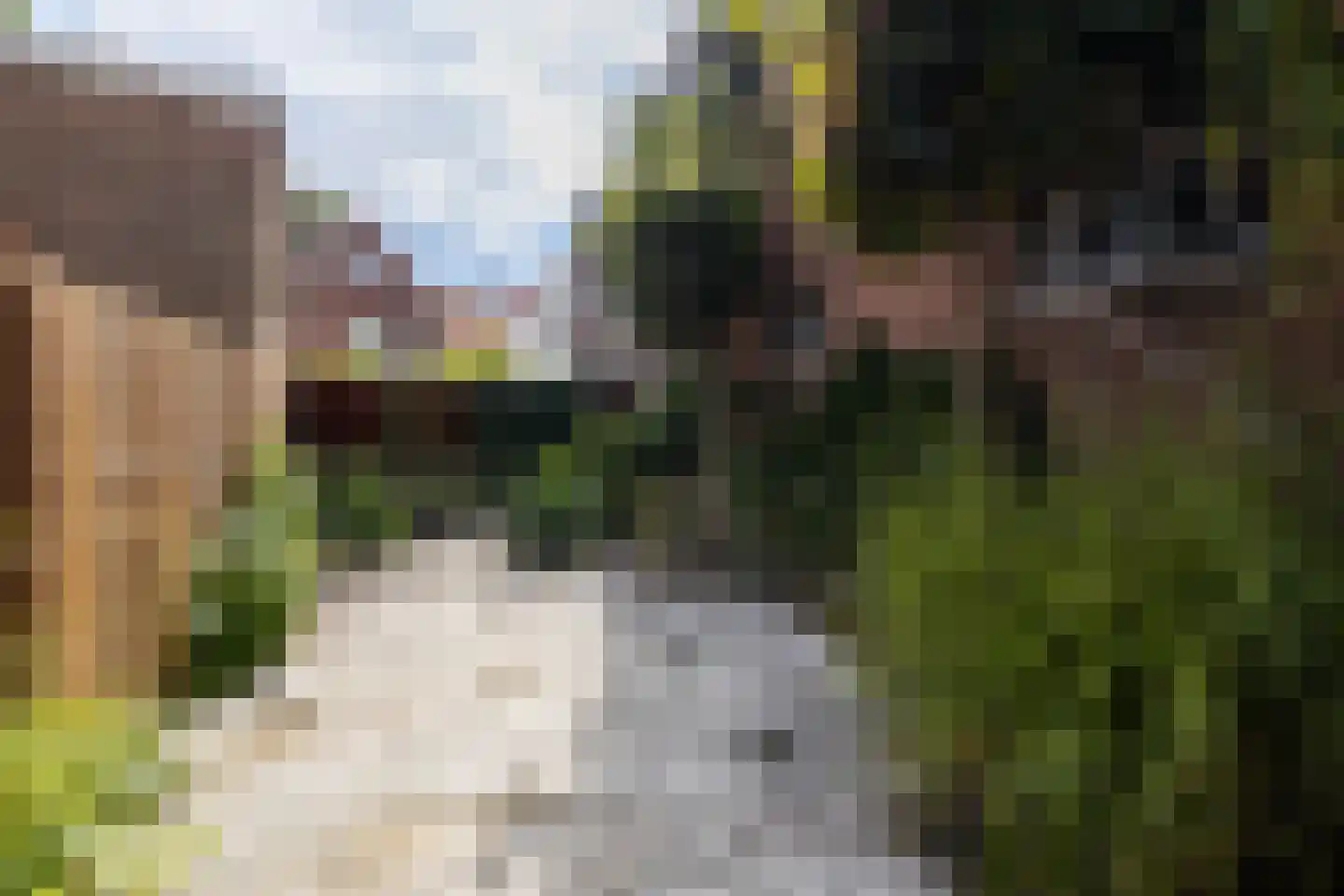Lange Weistraat 3 Schoonhoven thumbnail 78