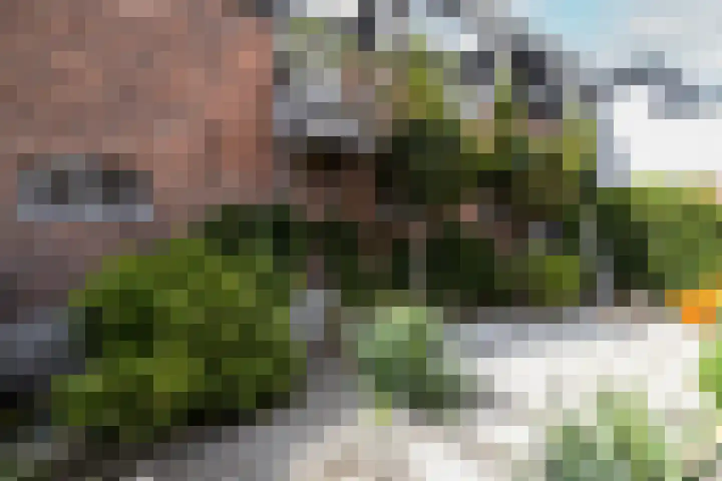 Lange Weistraat 3 Schoonhoven thumbnail 79