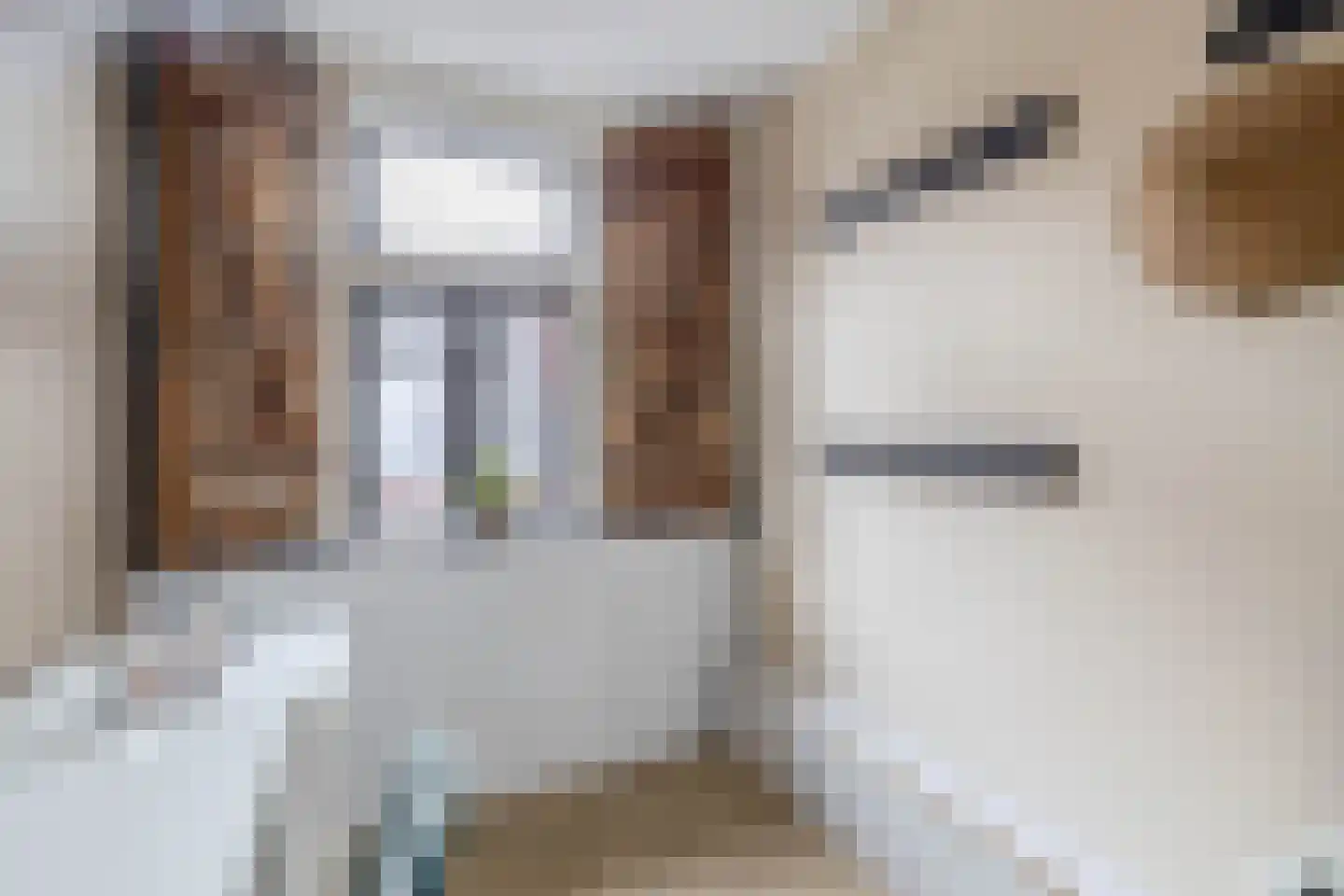 Lange Weistraat 38 Schoonhoven thumbnail 24