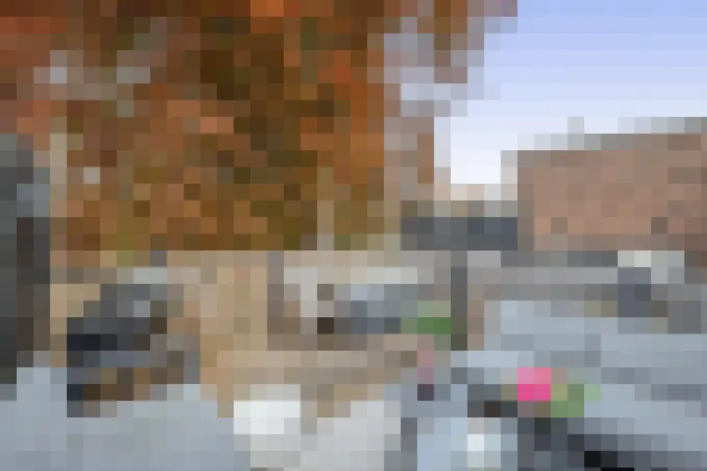 Lange Weistraat 38 Schoonhoven thumbnail 27