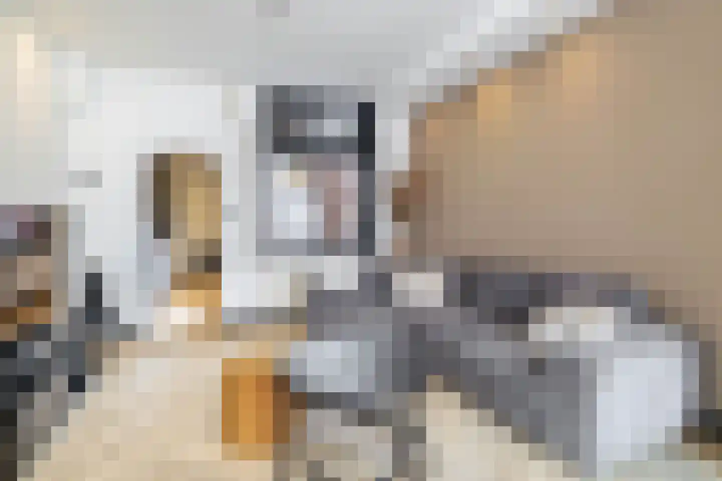 Lange Weistraat 38 Schoonhoven thumbnail 8