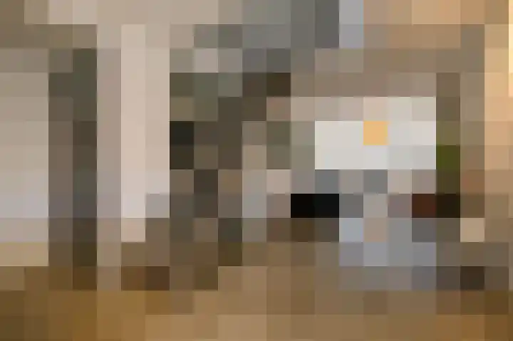 Lange Weistraat 41 Schoonhoven thumbnail 7
