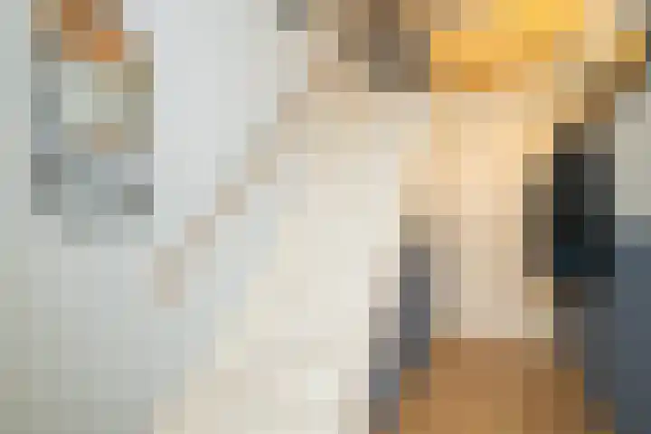 Lange Weistraat 55 Schoonhoven thumbnail 8