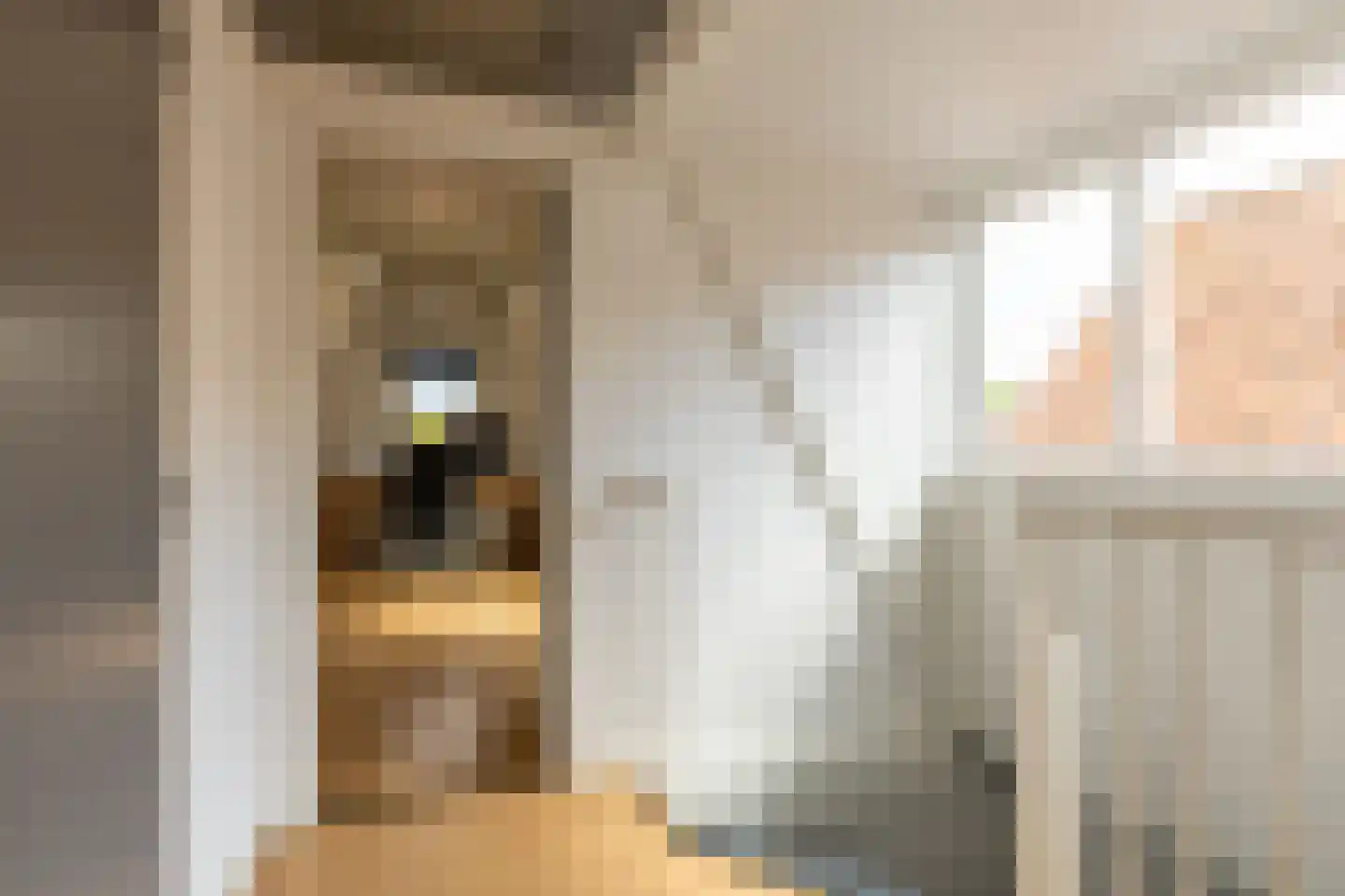 Lange Weistraat 57 Schoonhoven thumbnail 33