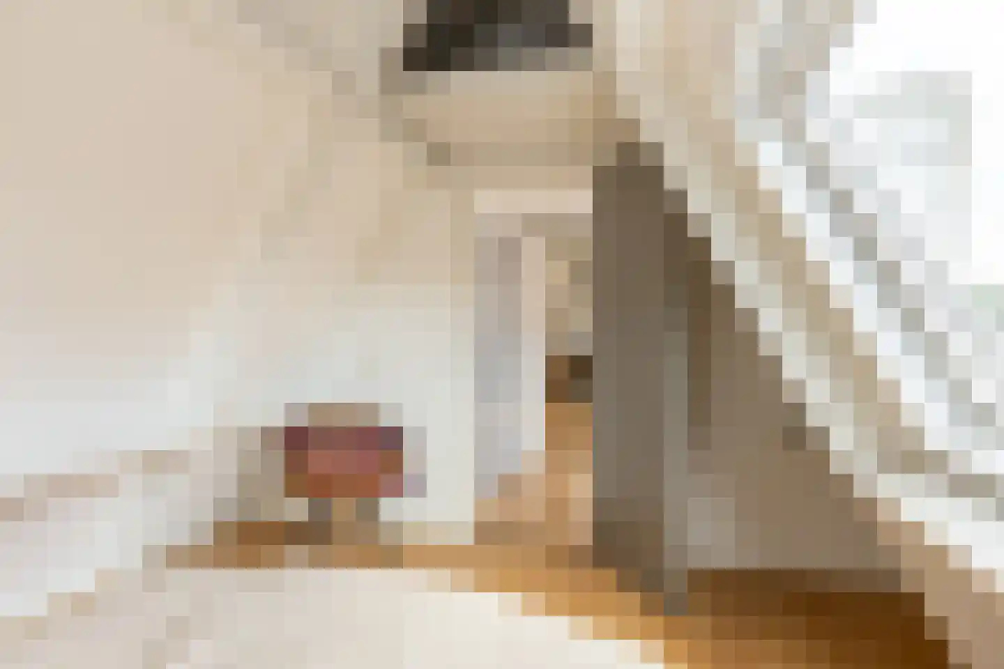 Lange Weistraat 57 Schoonhoven thumbnail 39