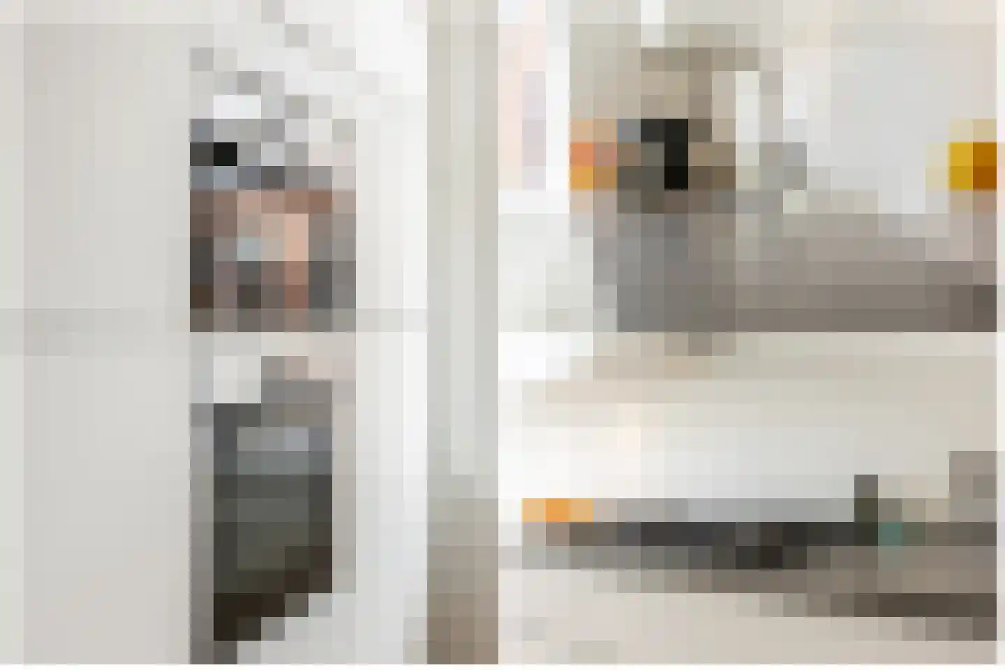 Lange Weistraat 57 Schoonhoven thumbnail 7