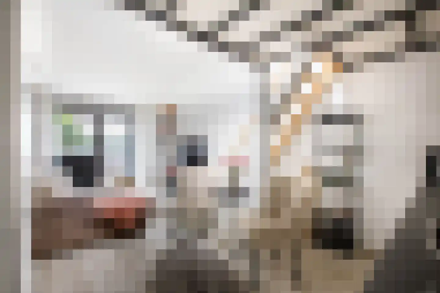 Lange Weistraat 7 k Schoonhoven thumbnail 11