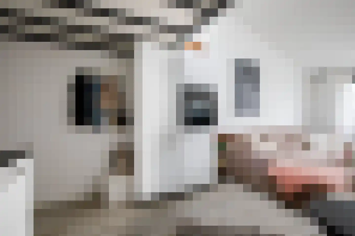 Lange Weistraat 7 k Schoonhoven thumbnail 12
