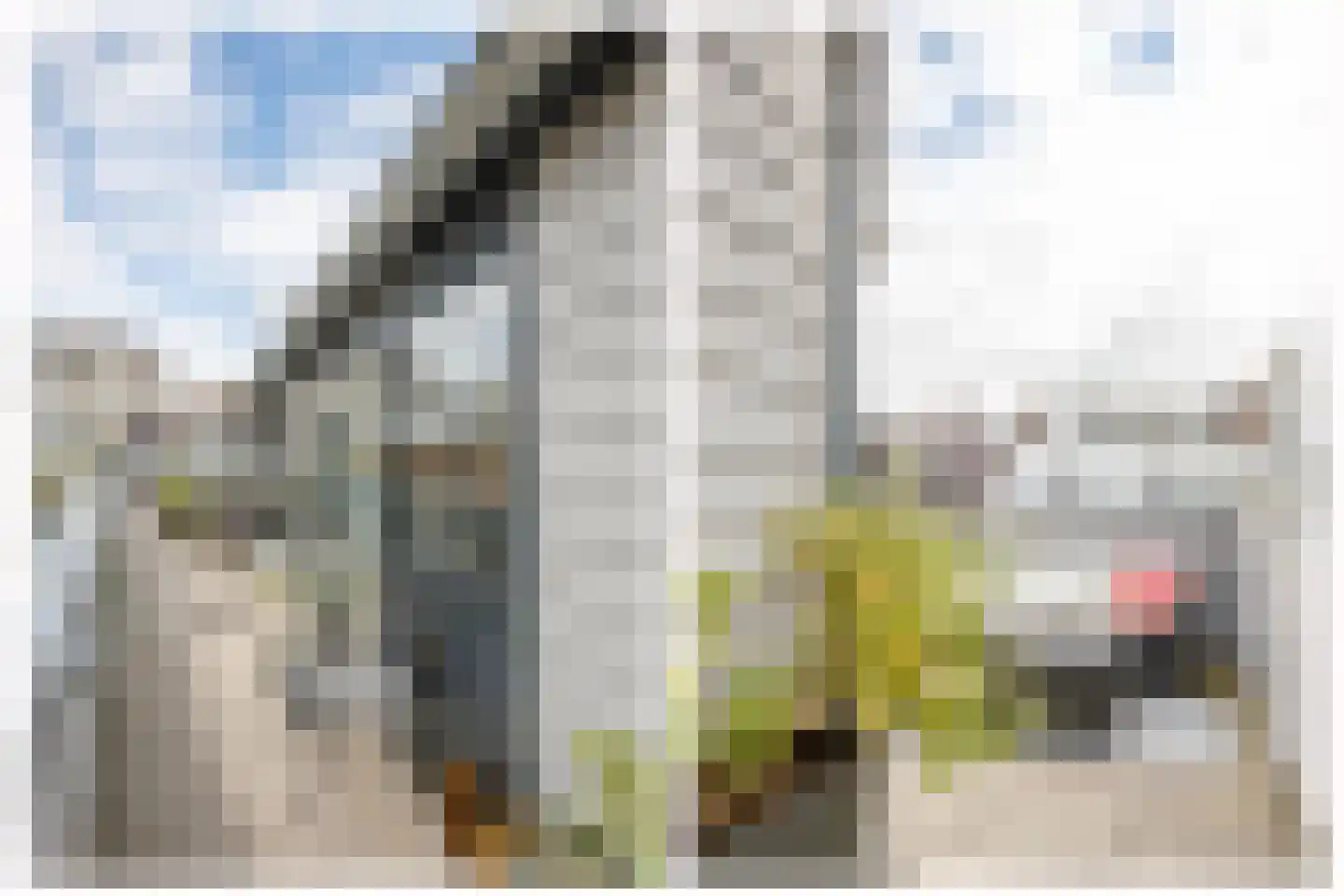 Lange Weistraat 7 k Schoonhoven thumbnail 23