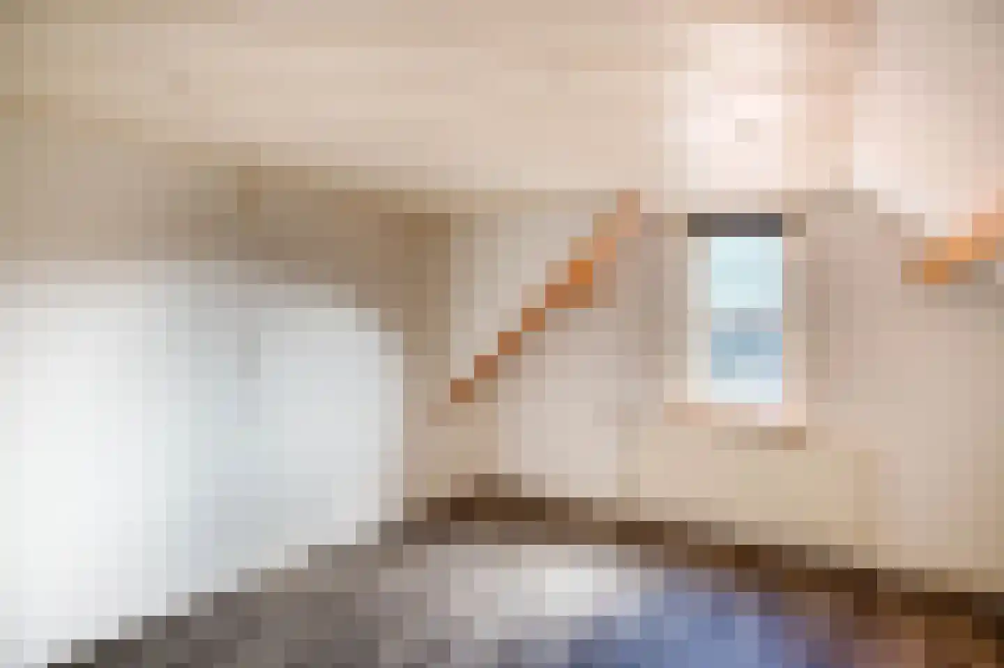 Lange Weistraat 83 Schoonhoven thumbnail 20