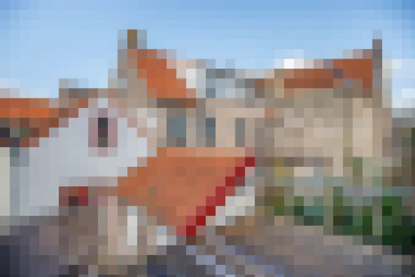 Lange Weistraat 83 Schoonhoven thumbnail 28
