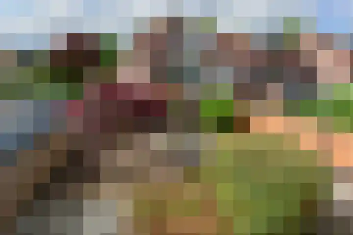 Lange Wetering 23 Nederhorst den Berg foto 2