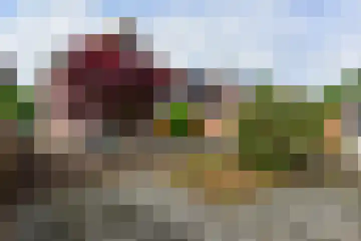 Lange Wetering 23 Nederhorst den Berg thumbnail 9