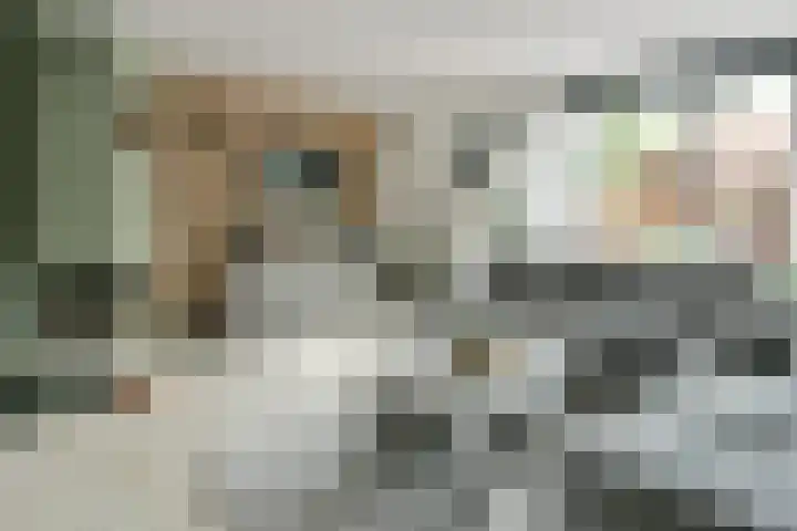 Lange Wetering 30 Nederhorst den Berg thumbnail 5