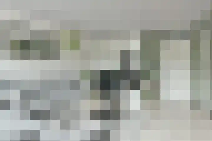 Lange Wetering 30 Nederhorst den Berg thumbnail 7