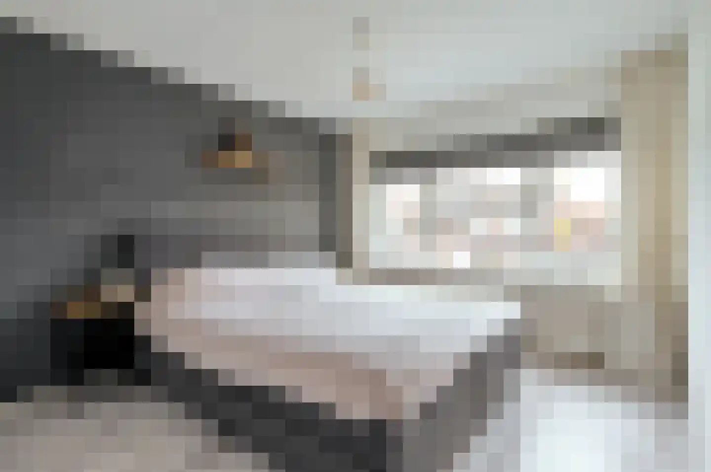 Lange Wijden 10 Elburg thumbnail 17