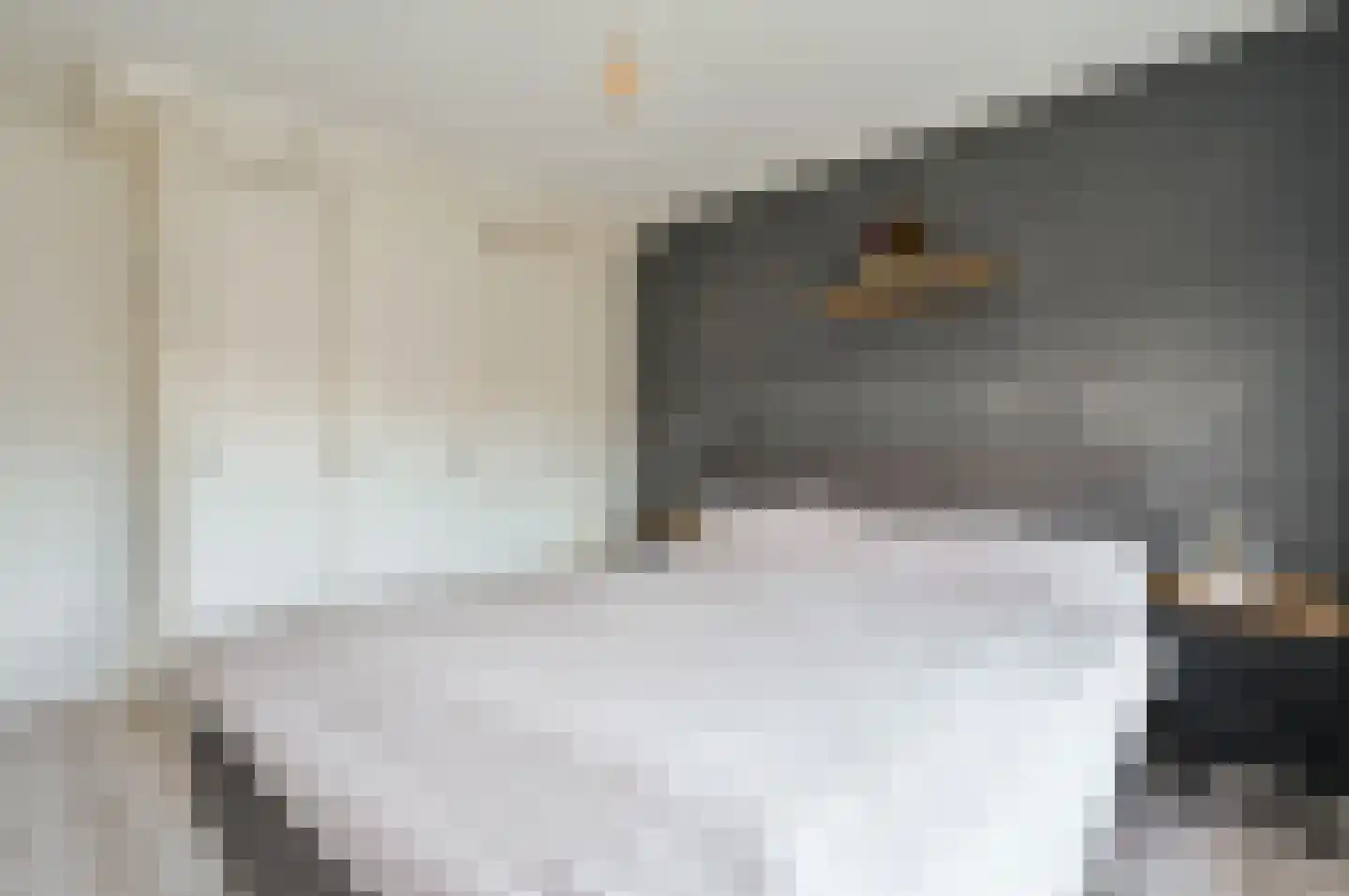 Lange Wijden 10 Elburg thumbnail 18