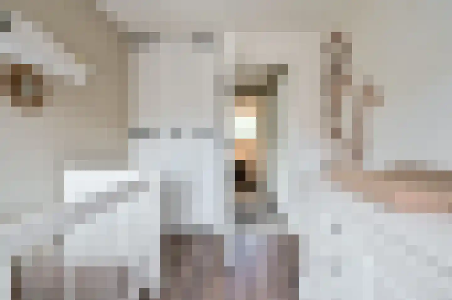 Lange Wijden 10 Elburg thumbnail 20