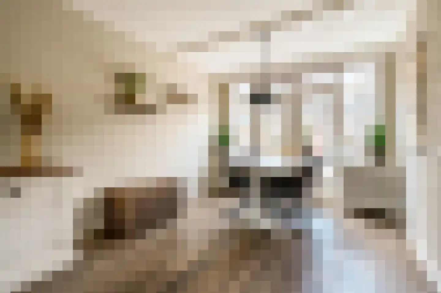 Lange Wijden 10 Elburg thumbnail 8