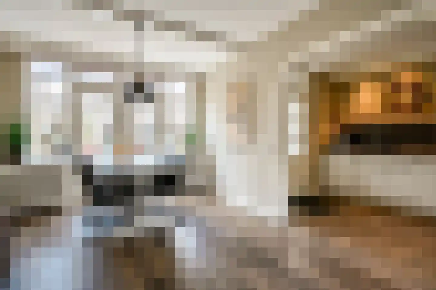 Lange Wijden 10 Elburg thumbnail 9