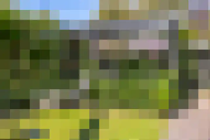 Lange Wijden 34 Elburg thumbnail 41