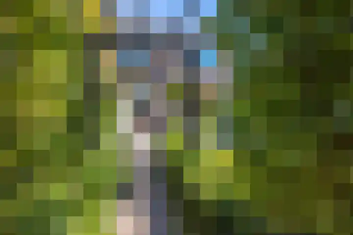 Lange Wijden 34 Elburg thumbnail 42