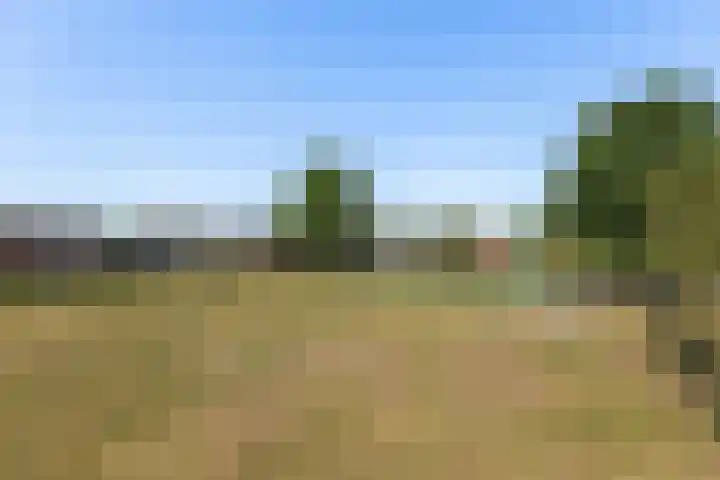 Lange Wijden 34 Elburg thumbnail 45