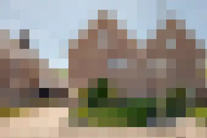 Lange Wijden 60 Elburg thumbnail 4