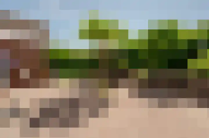 Lange Wijden 60 Elburg thumbnail 42