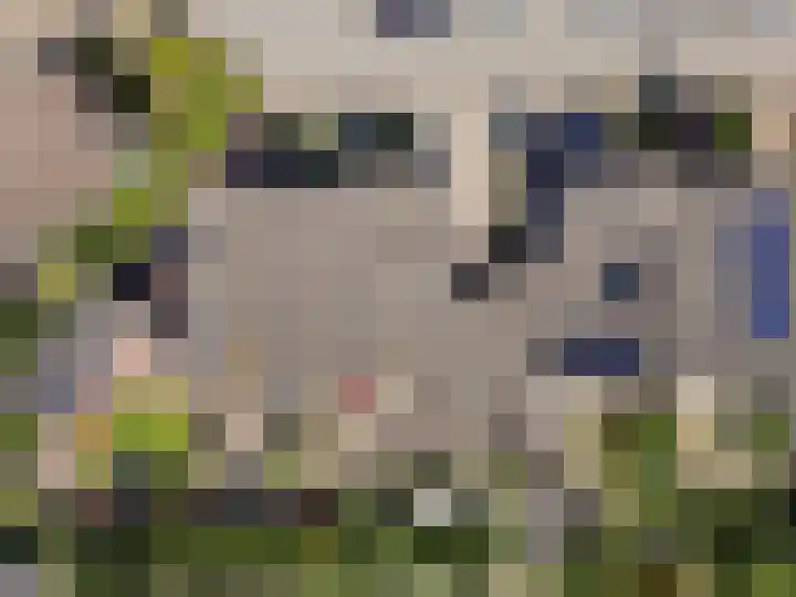 Lange Wijden 60 Elburg thumbnail 45