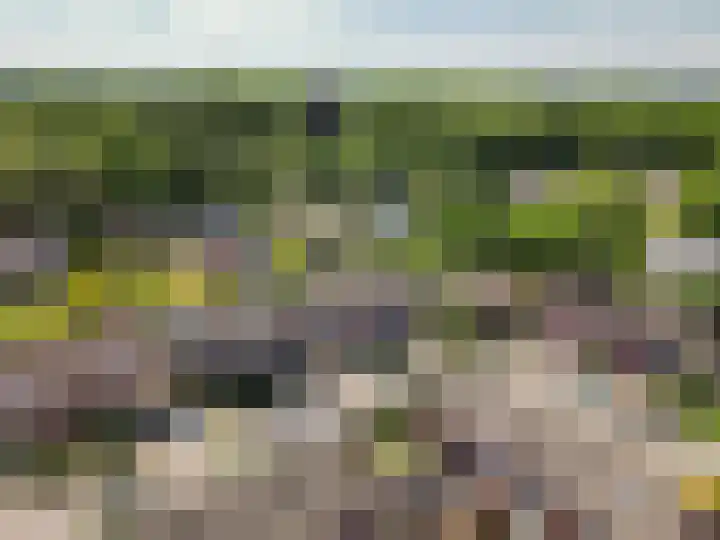 Lange Wijden 60 Elburg thumbnail 5