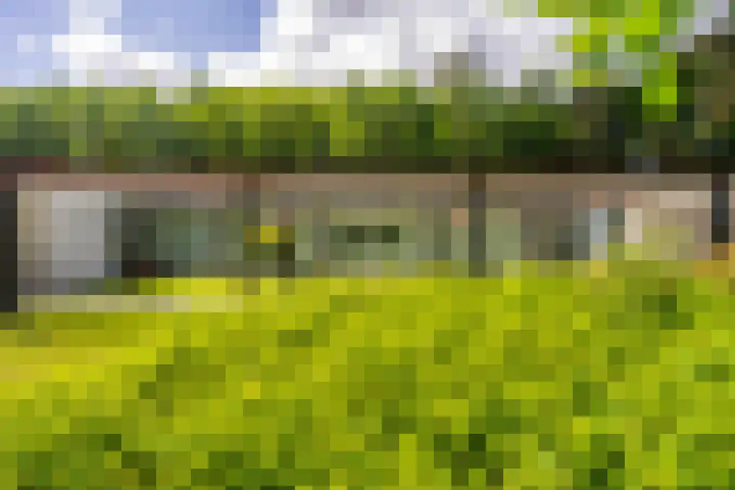 Lange Wijnen 9 Laren thumbnail 4
